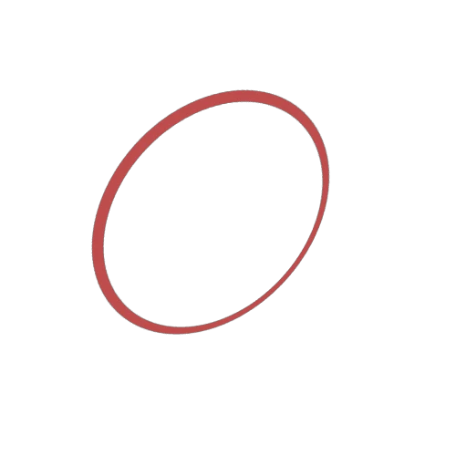 2d ring target 0 Red